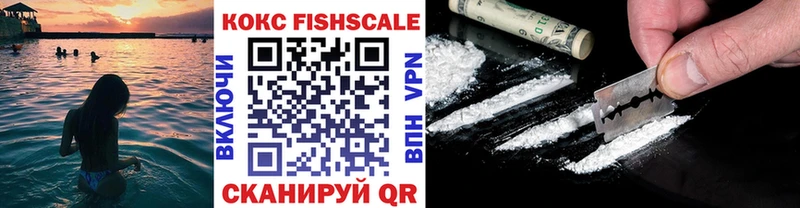 купить наркотик  Железногорск-Илимский  КОКАИН Fish Scale 