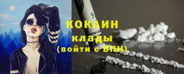 спиды Вяземский