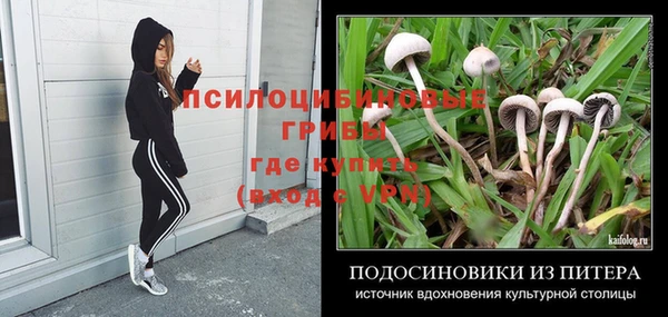 амф Володарск