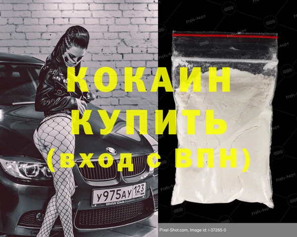 шишки Волоколамск